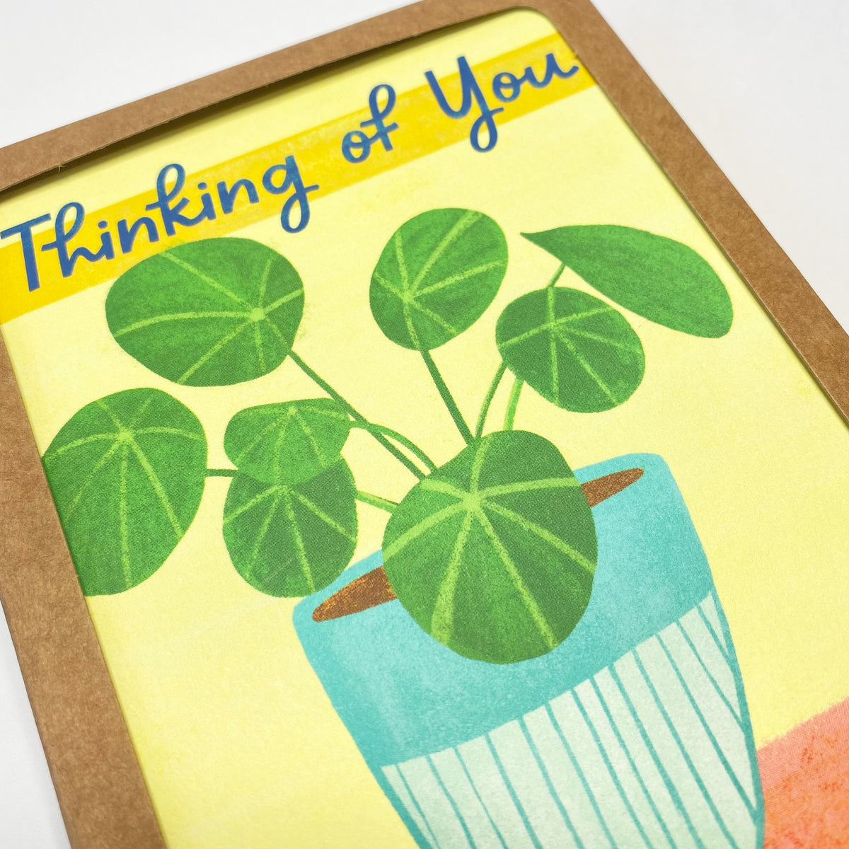 Boxed Set of 8 Cards-Thinking of You Pilea Plant Greeting Cards