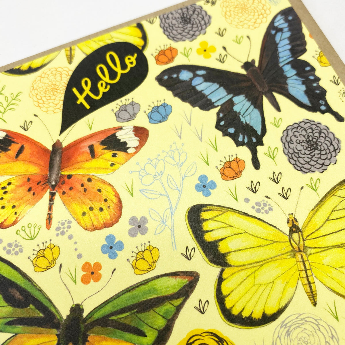 Boxed Set of 8 Cards-Hello Butterflies Greeting Cards